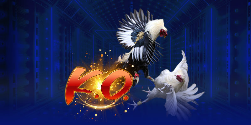 Giới thiệu chung về Nhà Cái go88